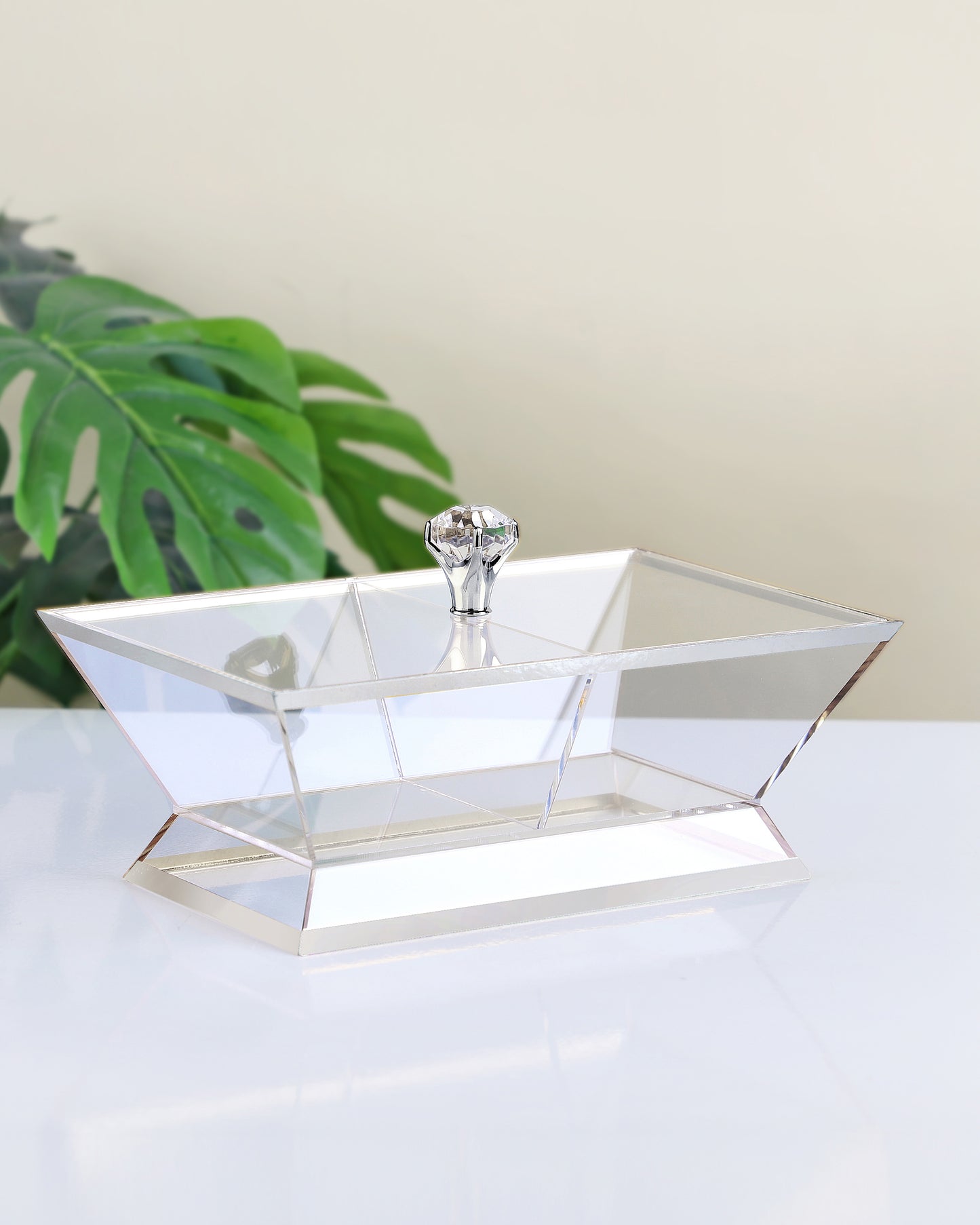 Red Home Compartment Acrylic Nuts 2 Bowl RT1011